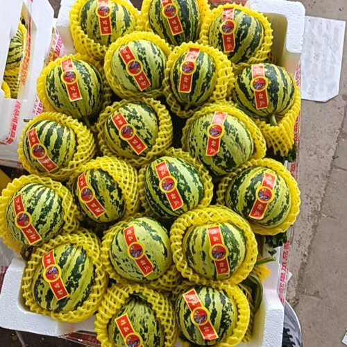 手机用户15554594321