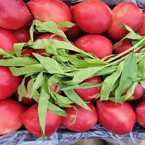 煤厂直销，大砟，碳头 18266354133