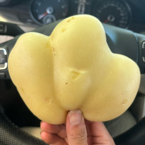 滕州土豆代办刘书硕