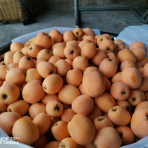 手机用户18981629982