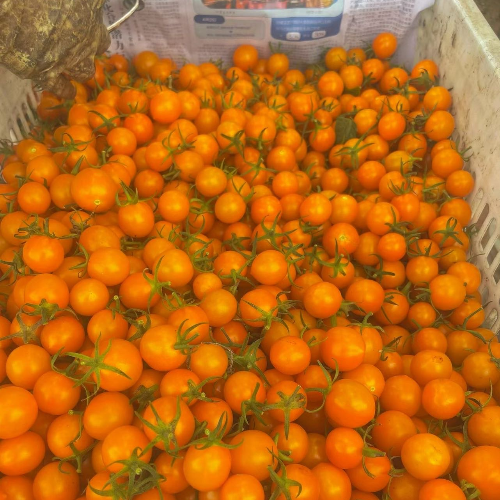 上洋水果代办批发